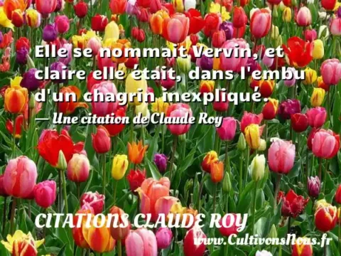 Elle se nommait Vervin, et claire elle était, dans l embu d un chagrin inexpliqué. - Une citation de Claude Roy CITATIONS CLAUDE ROY