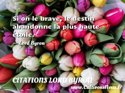 Si on le brave, le destin abandonne la plus haute étoile. - Lord Byron CITATIONS LORD BYRON