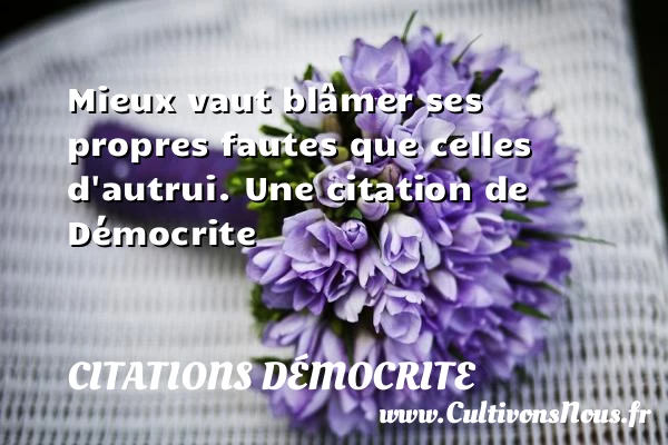 Mieux vaut blâmer ses propres fautes que celles - Citations Démocrite