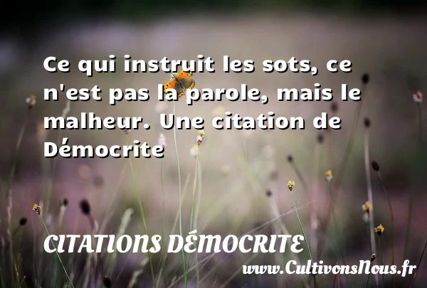 Ce qui instruit les sots, ce n’est pas - Citations Démocrite