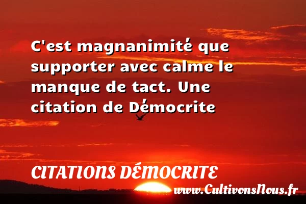 C’est magnanimité que supporter avec calme le manque - Citations Démocrite - Citation porte