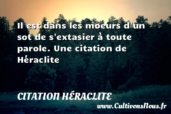 Il est dans les moeurs d’un sot de s’extasier à toute - Citation Héraclite
