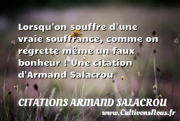 Lorsqu’on souffre d’une vraie souffrance, comme on regrette même un faux bonheur - Citations Armand Salacrou