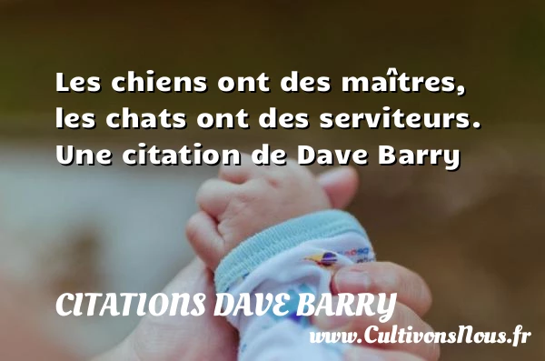 Les chiens ont des maîtres, les chats ont - Citations Dave Barry