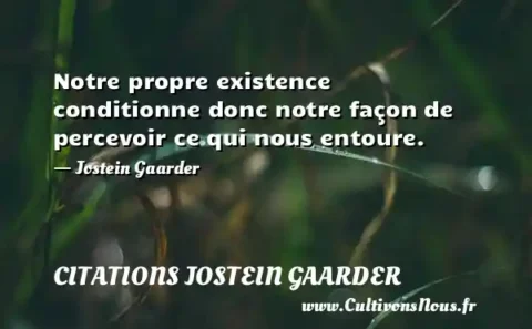 Notre propre existence conditionne donc notre façon de percevoir ce qui nous entoure. - Jostein Gaarder CITATIONS JOSTEIN GAARDER