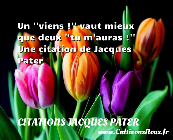 Un ”viens !” vaut mieux que deux ”tu - Citations Jacques Pater