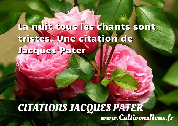 La nuit tous les chants sont tristes. - Citations Jacques Pater