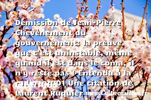 Démission de Jean-Pierre Chevènement du - Citations - Citations Laurent Ruquier