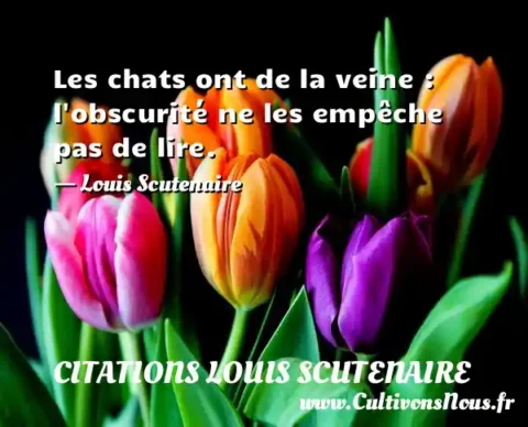 Les chats ont de la veine : l obscurité ne les empêche pas de lire. - Louis Scutenaire CITATIONS LOUIS SCUTENAIRE