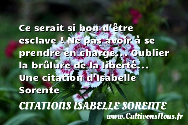 Ce serait si bon d’être esclave ! Ne pas - Citations Isabelle Sorente