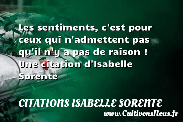 Les sentiments, c’est pour ceux qui n’admettent pas qu’il n’y a pas - Citations Isabelle Sorente