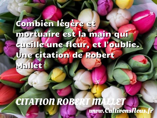 Combien légère et mortuaire est la main qui cueille une fleur, - Citation Robert Mallet