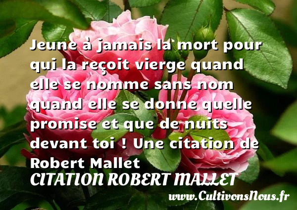 Jeune à jamais la mort pour qui la reçoitVierge - Citation Robert Mallet