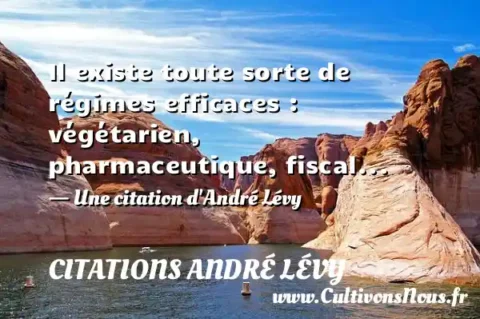 Il existe toute sorte de régimes efficaces : végétarien, pharmaceutique, fiscal... - Une citation d André Lévy CITATIONS ANDRÉ LÉVY