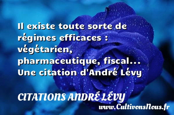 Il existe toute sorte de régimes efficaces : végétarien, - Citations André Lévy