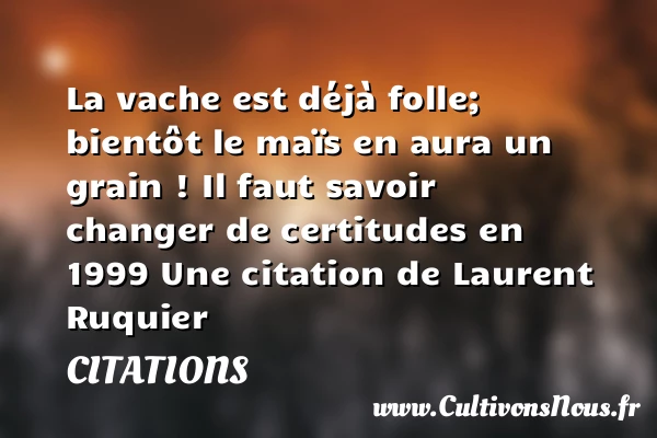 La vache est déjà folle; bientôt le - Citations - Citations Laurent Ruquier
