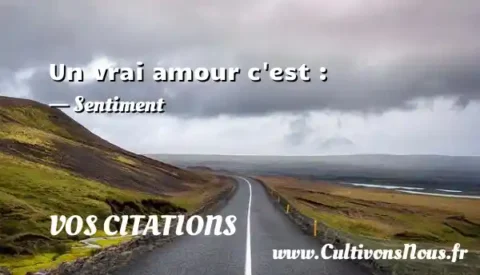 Un vrai amour c est : - Sentiment VOS CITATIONS
