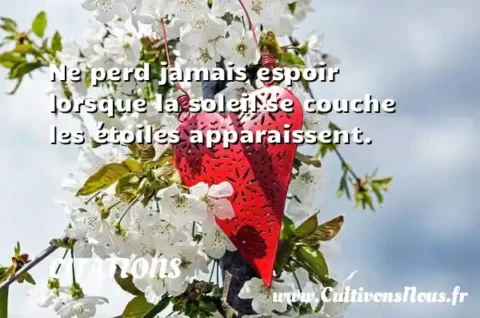 Ne perd jamais espoir lorsque la soleil se couche les étoiles apparaissent. CITATIONS