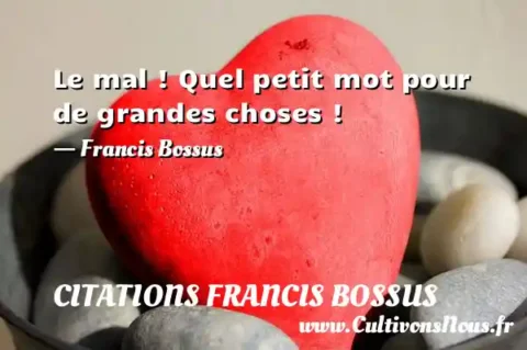 Le mal ! Quel petit mot pour de grandes choses ! - Francis Bossus CITATIONS FRANCIS BOSSUS