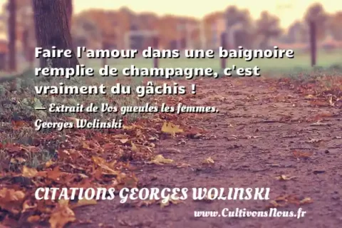 Faire l amour dans une baignoire remplie de champagne, c est vraiment du gâchis ! - Extrait de Vos gueules les femmes. Georges Wolinski CITATIONS GEORGES WOLINSKI