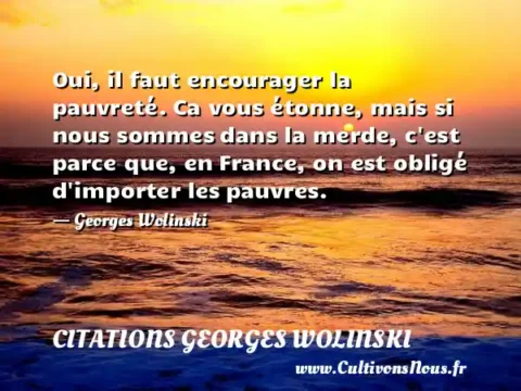 Oui, il faut encourager la pauvreté. Ca vous étonne, mais si nous sommes dans la merde, c est parce que, en France, on est obligé d importer les pauvres. - Georges Wolinski CITATIONS GEORGES WOLINSKI