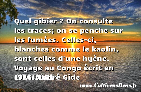 Quel gibier ? On consulte les traces; - Citations - Citations André Gide