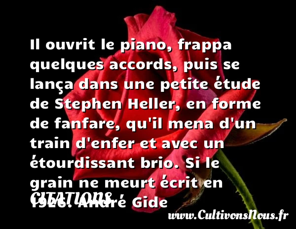 Il ouvrit le piano, frappa quelques - Citations - Citations André Gide