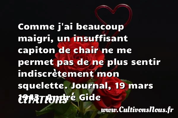 Comme j’ai beaucoup maigri, un - Citations - Citations André Gide