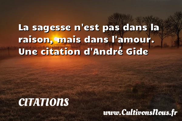 La sagesse n’est pas dans la raison, - Citations - Citations André Gide - Citation sagesse