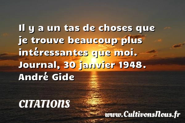 Il y a un tas de choses que je trouve - Citations - Citations André Gide