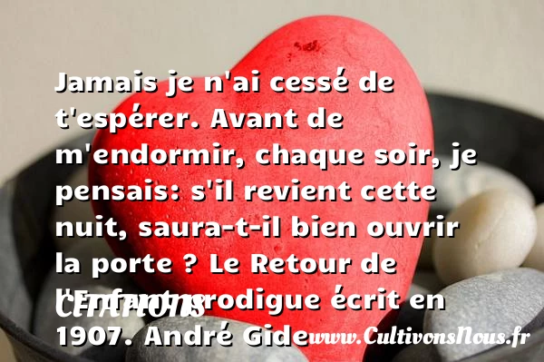 Jamais je n’ai cessé de t’espérer. - Citations - Citations André Gide