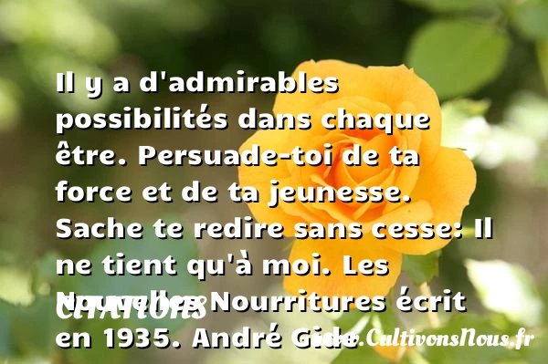 Il y a d’admirables possibilités dans - Citations - Citations André Gide