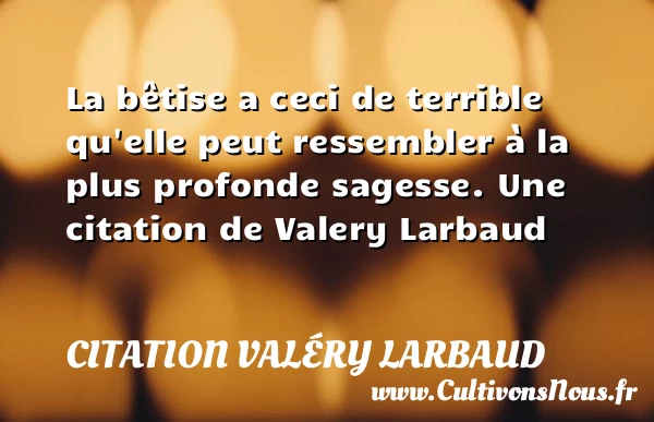 La bêtise a ceci de terrible qu’elle peut ressembler à la - Citation Valéry Larbaud