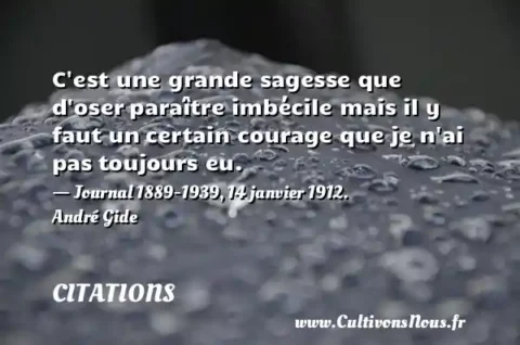 C est une grande sagesse que d oser paraître imbécile mais il y faut un certain courage que je n ai pas toujours eu. - Journal 1889-1939, 14 janvier 1912. André Gide CITATIONS