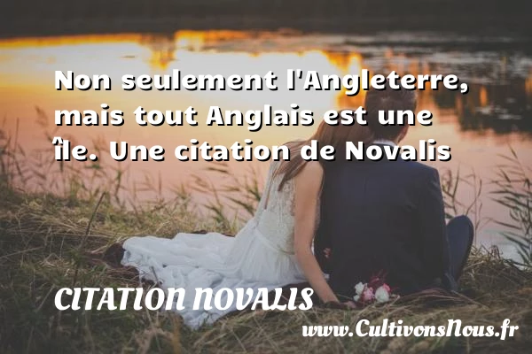 Non seulement l’Angleterre, mais tout Anglais est une - Citation Novalis
