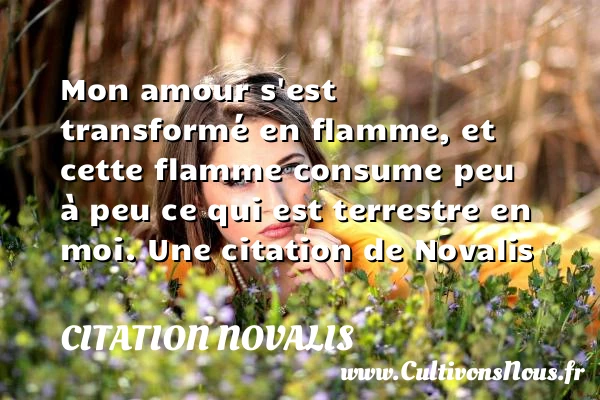 Mon amour s’est transformé en flamme, et cette flamme consume peu à peu - Citation Novalis