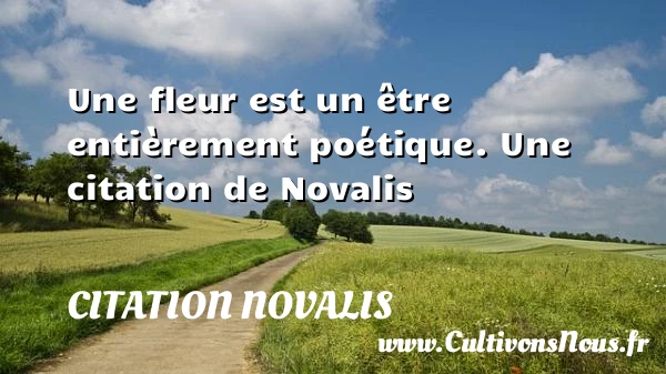Une fleur est un être entièrement poétique. - Citation Novalis