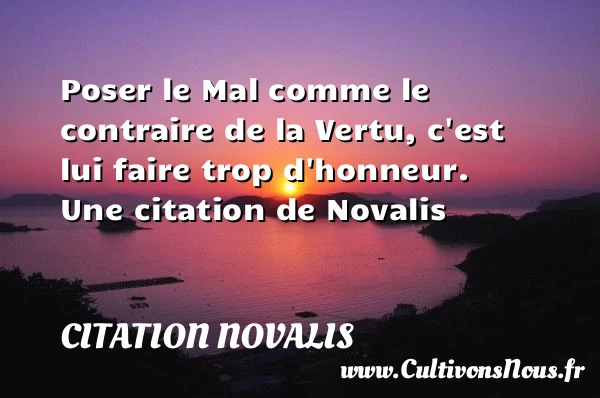 Poser le Mal comme le contraire de la Vertu, - Citation Novalis