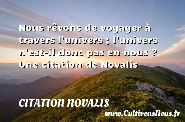 Nous rêvons de voyager à travers l’univers ; l’univers n’est-il donc pas - Citation Novalis