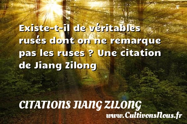 Existe-t-il de véritables rusés dont on ne remarque pas les ruses - Citations Jiang Zilong