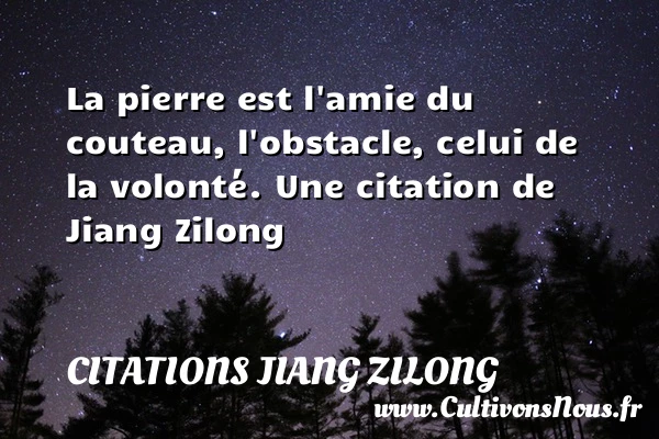 La pierre est l’amie du couteau, l’obstacle, celui - Citations Jiang Zilong