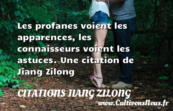 Les profanes voient les apparences, les connaisseurs voient - Citations Jiang Zilong