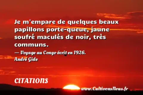 Je m empare de quelques beaux papillons porte-queue, jaune soufré maculés de noir, très communs. - Voyage au Congo écrit en 1926. André Gide CITATIONS