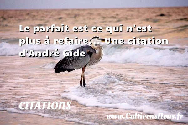 Le parfait est ce qui n’est plus à - Citations - Citations André Gide