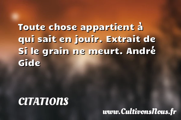 Toute chose appartient à qui sait en - Citations - Citations André Gide