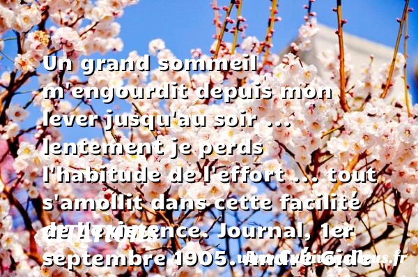 Un grand sommeil m’engourdit depuis - Citations - Citations André Gide - Citation sommeil