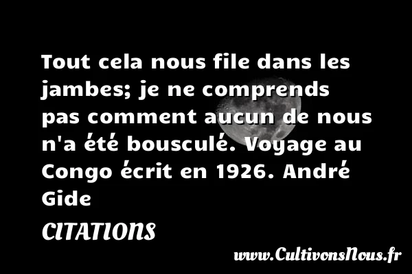 Tout cela nous file dans les jambes; - Citations - Citations André Gide - Citation voyage