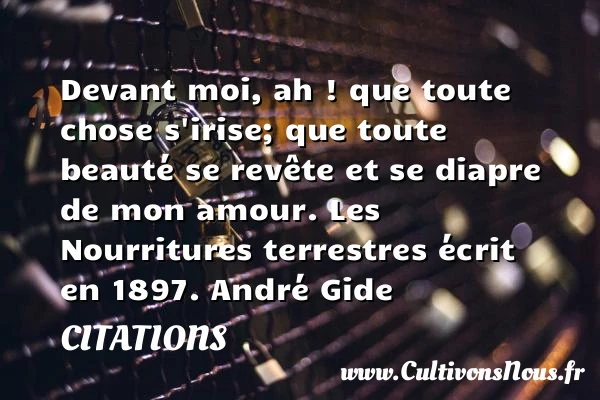 Devant moi, ah ! que toute chose - Citations - Citations André Gide