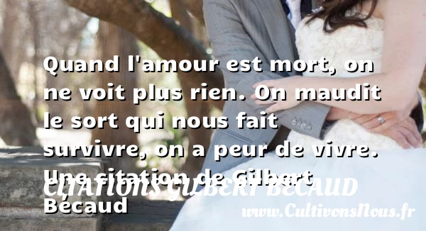 Quand l’amour est mort, on ne voit plus rien.On maudit le sort qui - Citations Gilbert Bécaud