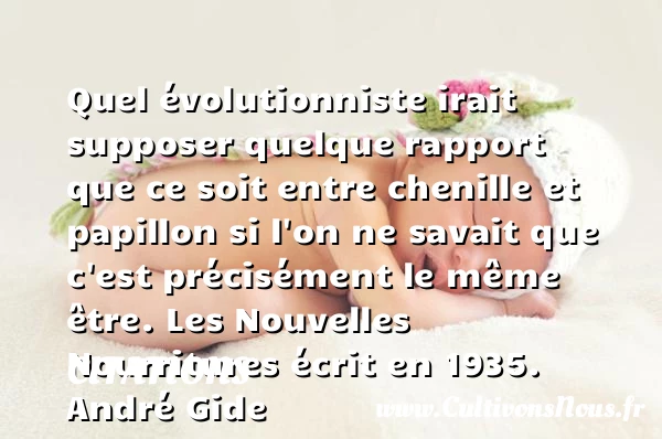 Quel évolutionniste irait supposer - Citations - Citations André Gide - Citation papillon